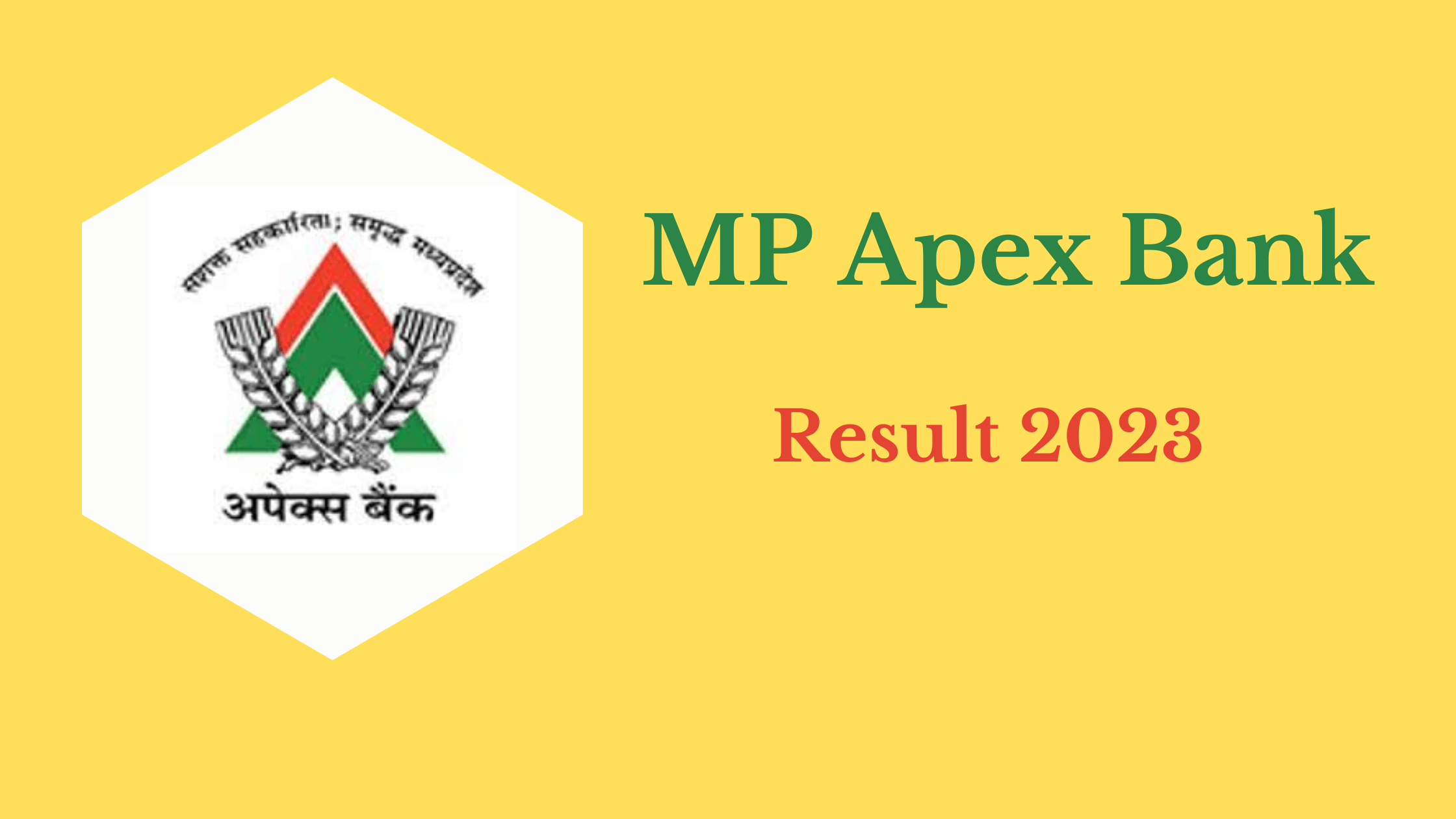 MP Apex Bank Result 202